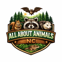 All About Animals NC 