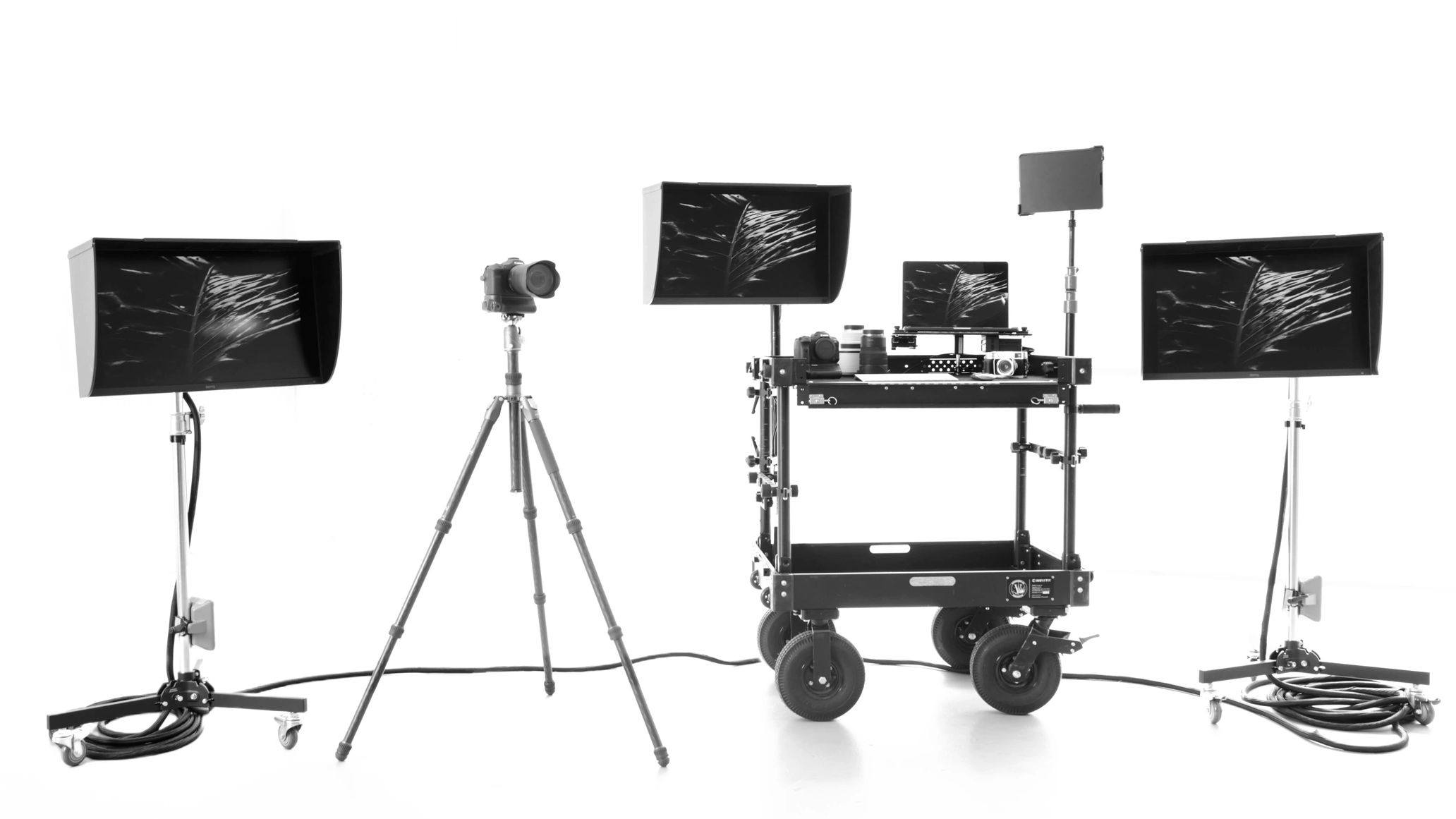 Studio and Location kits for all stills productions.