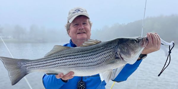 Captain Tim with  Striper Guy Guide Services and Events holding a trophy striped bass on lake Lanier