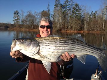 Steve holding large striped bass on charter fishing trip on Lake Lanier