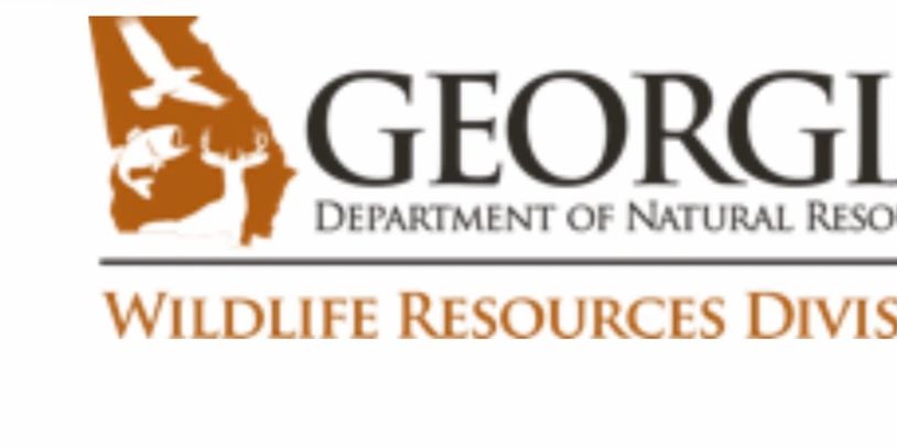 Fishing license for Striper Fishing on Lake Lanier