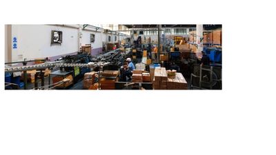 Inside a busy factory with machinery and workers handling stacked boxes.
