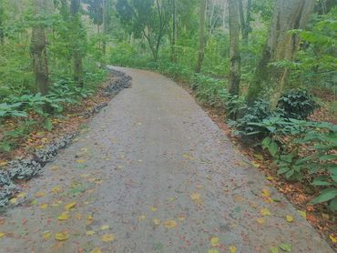 Vedantikala
best resort chikmagalur 
vegetarian resort 
best nature resort
romantic resort