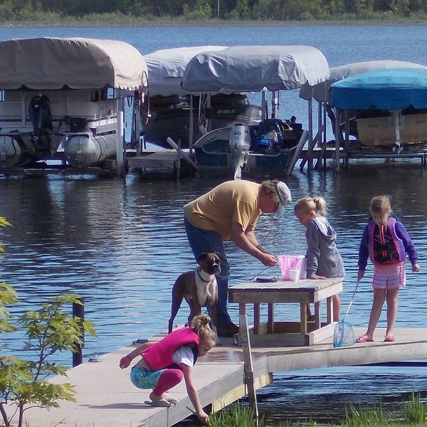 Lots of activities on the dock, plus catching...