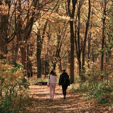 Walk and Talk Therapy, forest bathing, nature therapy, two people in the bush talking 
