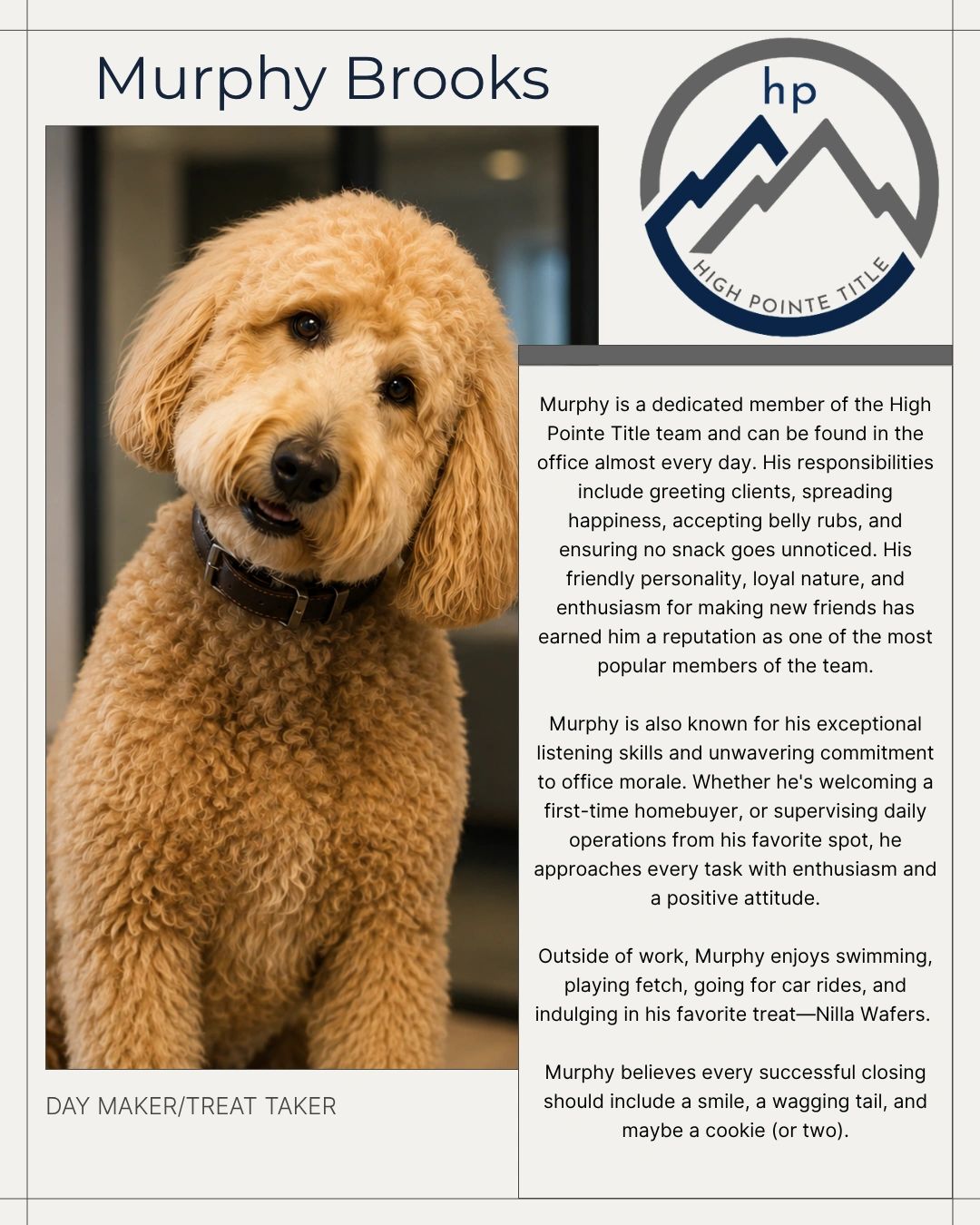 Murphy Brooks, a friendly and popular office dog at High Pointe Title.
