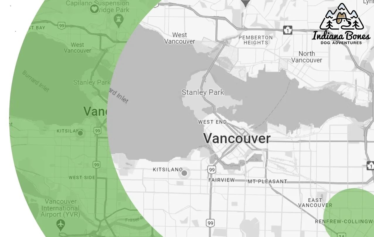 Dog walker near me in Vancouver & North Vancouver offers dog walking | dog sitting, and boarding.