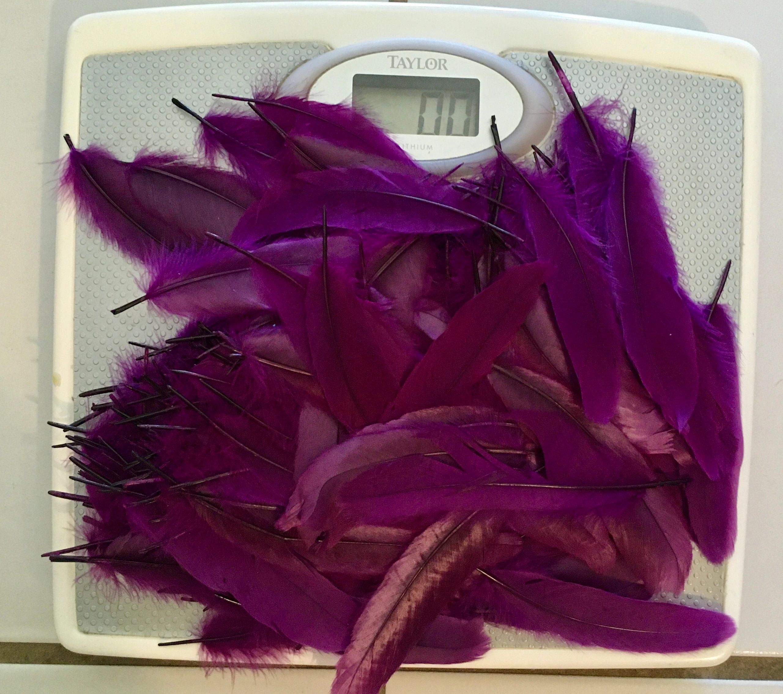 Light as a Feather…That Little Extra Touch
