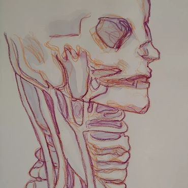 Da Vinci Series. Watercoloir and color pencil on paper. 15 pieces. 