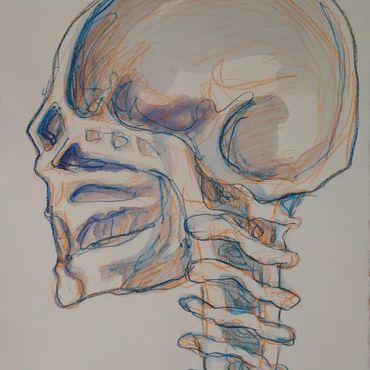 Da Vinci Series. Watercoloir and color pencil on paper. 15 pieces. 