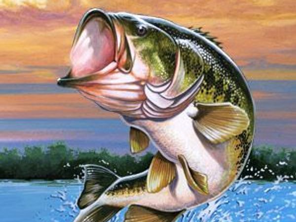 Largemouth bass fishing, live bait, bait and tackle, mobile bait shop