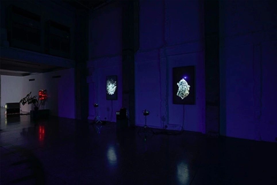 An art gallery with dim lighting features digital artworks on the walls, a plant, and spotlights illuminating the space.