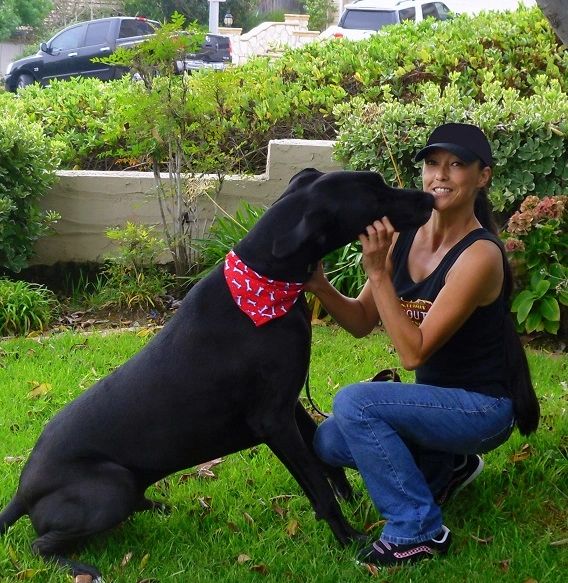 how-much-does-a-mobile-great-dane-groomer-cost