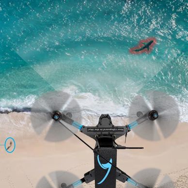 Drone captures a shark near swimmers on a beach.