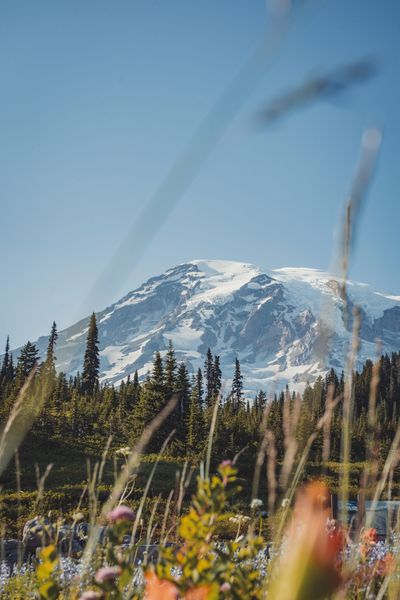 Mt. Rainier
