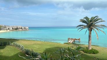 A serene beach view with turquoise water, a palm tree, and a small pier.