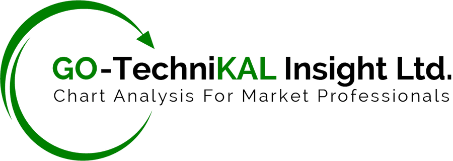 GO-TechniKAL Insight Ltd