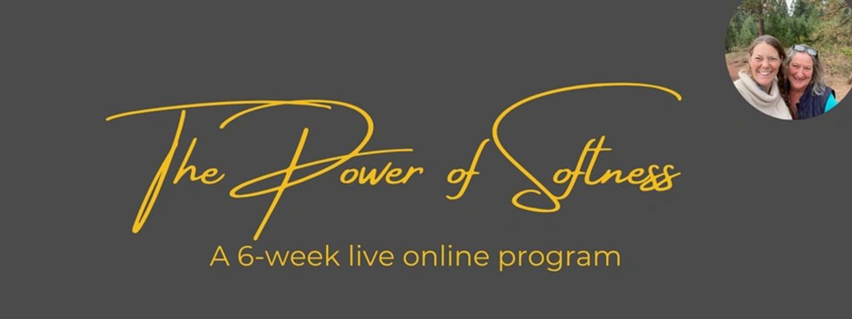 The Power of Softness, a 6-week live online program.