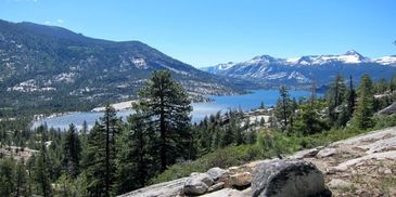 Sierra National Forest