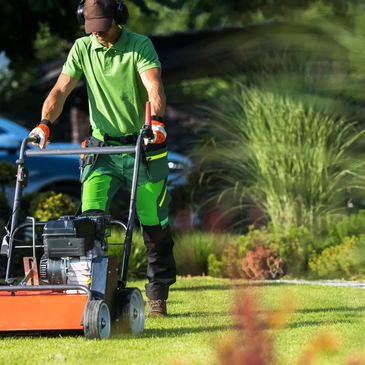 Lawn power raking