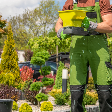 Lawn care including kelp, weed control and fertilizer application by Green Gator Landscaping.