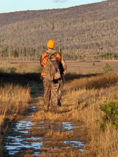 Hunter walking on a trail in camouflage and orange hat.