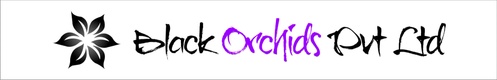 Black Orchids Pvt Ltd