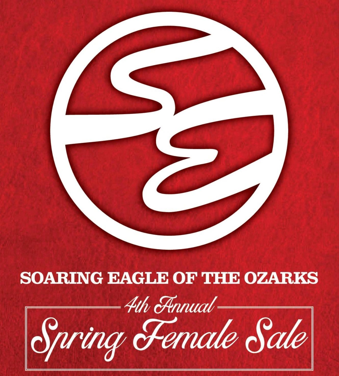 Soaring Eagle Farms Angus