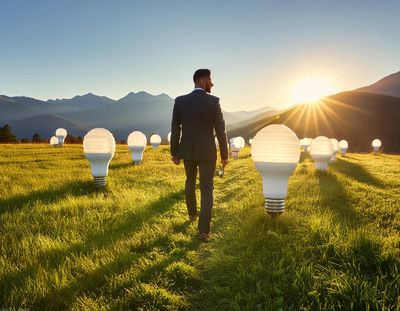 Man with beard in suit walking away from camera toward sun in grassy field planted with lightbulbs