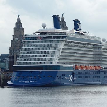 Celebrity Ship leaving a busy port.