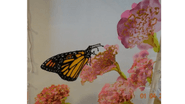   David Gendelman Art 