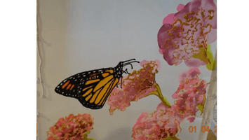   David Gendelman Art 