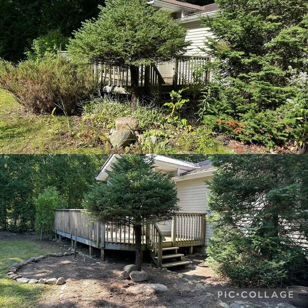 property maintenance, property cleanup, leaf cleanup