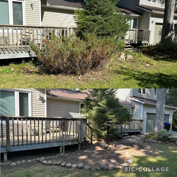 Property clenaups, leaf cleanups, leaf removal, property maintenance