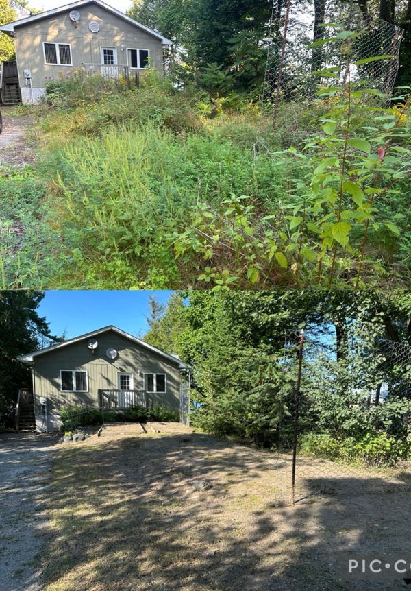 property maintenance, property cleanup, leaf cleanup, leaf removal, grass cutting, lawn care