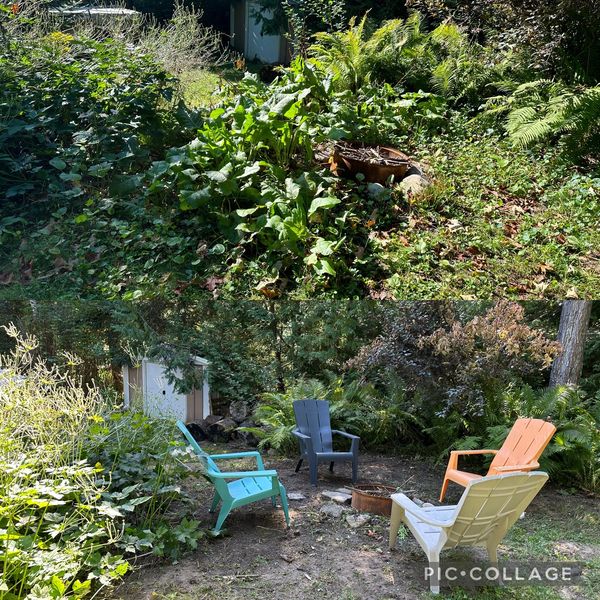 property maintenance, property cleanup, leaf cleanup, leaf removal, lawn care, lawn mowing