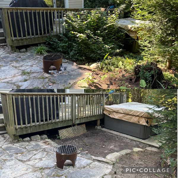 property maintenance, property cleanup, leaf cleanup, leaf removal, lawn mowing, lawn care, grass