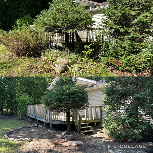 property maintenance, property cleanup, leaf cleanup, leaf removal, lawn care, lawn mowing