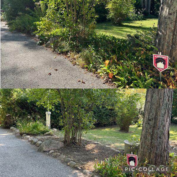 property maintenance, property cleanup, leaf cleanup, leaf removal, lawn care, lawn mowing