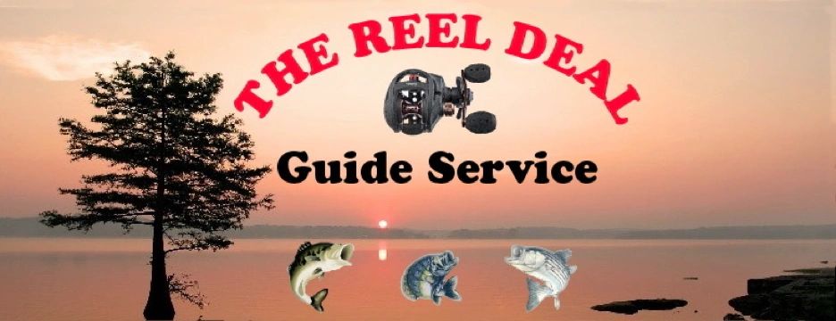 The Reel Deal Guide Service - Fishing Guide, Percy Priest Lake