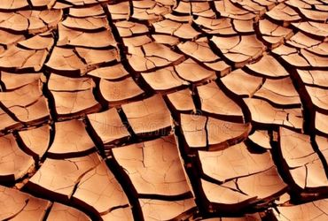 Cracked, dry earth in a drought.