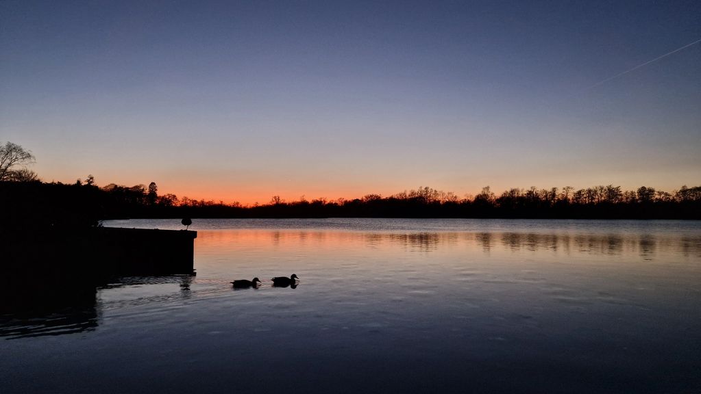 Relaxing by South Walsham Broad.