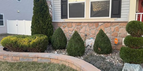 Neatly trimmed bushes in a landscaped garden bed outside a house.
