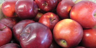 Local Ontario Apples