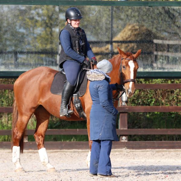 Chestnut horse and happy rider in a riding lesson at Southey Farm arena