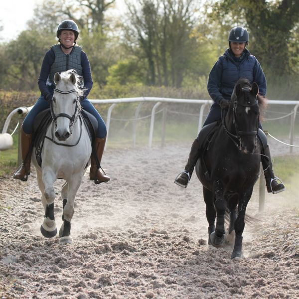 Livery horses having fun on the local gallops at Pontispool
