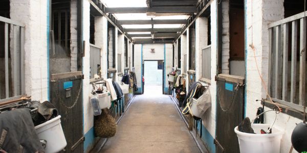 Indoor barn of the livery stables at Southey Farm near Taunton, Wellington and Tiverton 