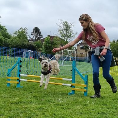 Dog agility lots of fun working with your dog