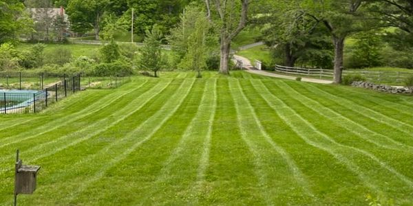 A freshly mowed lawn with alternating light and dark green stripes.