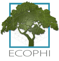EcoPhi